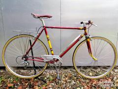 RAR - TIGRA SPRINT - Classic Steel Urban Road Racer Bike